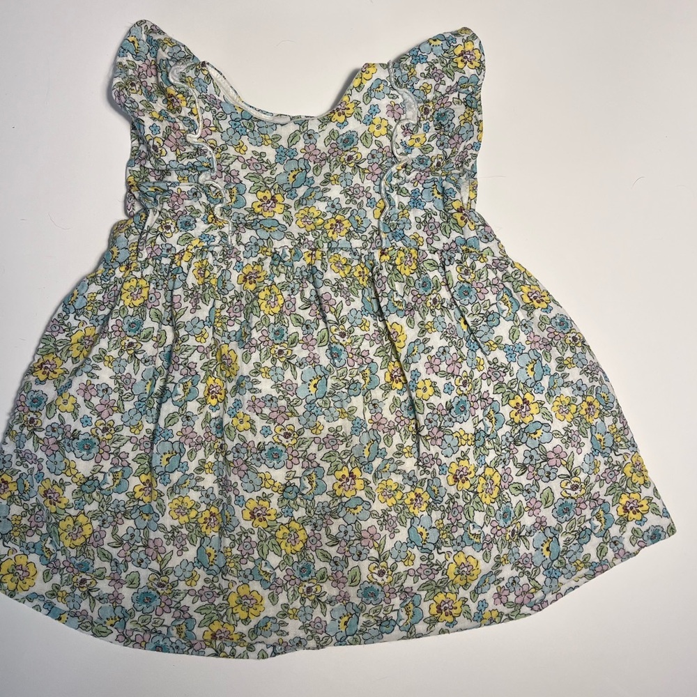 Zara Floral Baby Dress with Ruffle Sleeves